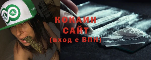 мяу мяу мука Елизово