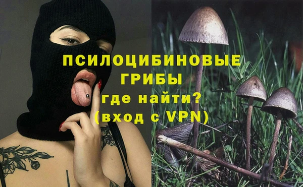 мяу мяу мука Елизово