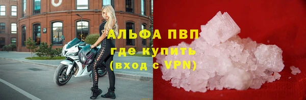 мяу мяу мука Елизово