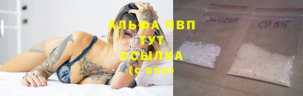 мяу мяу мука Елизово
