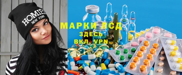 винт Болотное