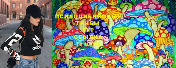 мяу мяу мука Елизово
