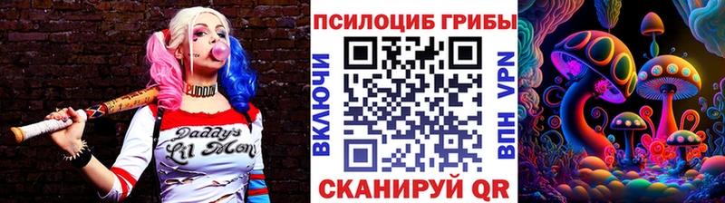 Галлюциногенные грибы мухоморы  omg ONION  Камышлов 