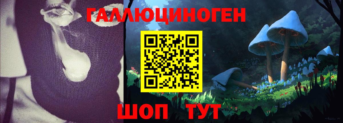 Галлюциногенные грибы Psilocybe  Вход с VPN  Камышлов 