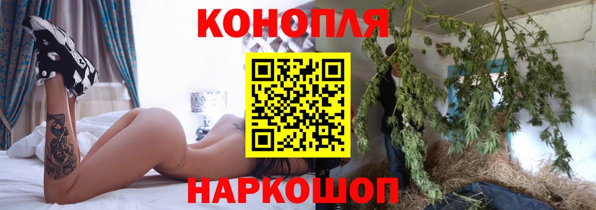 Канабис OG Kush  Каннабис Bruce Banner  Камышлов  Вход с VPN  Марихуана Bruce Banner 